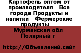 Картофель оптом от производителя - Все города Продукты и напитки » Фермерские продукты   . Мурманская обл.,Полярный г.